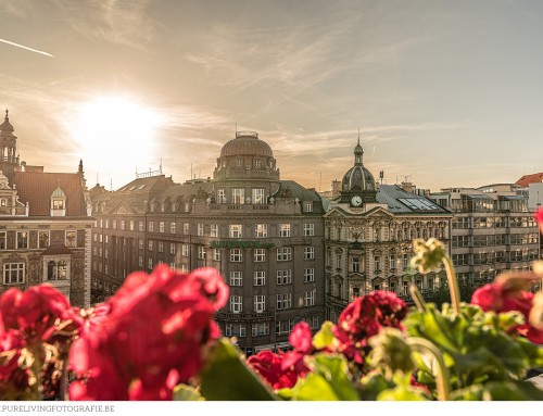 Genieten in Praag!